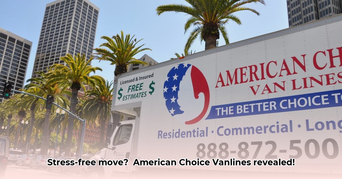 american-choice-vanlines